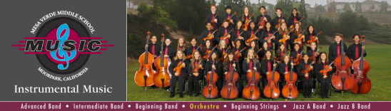 orchestra 2012-2013.jpg